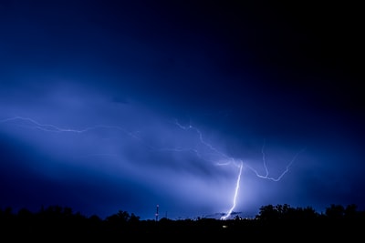 雷电光森林
